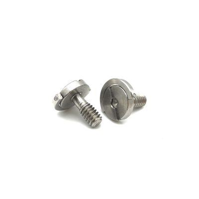 Combination hex slotted drive camera screws with D ring